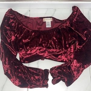 Velvet Crop Top- Never Worn